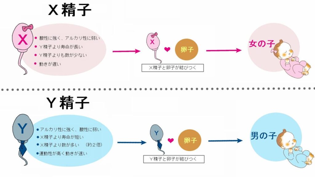 性別確認 いつ行うべきかとそのタイミングについて